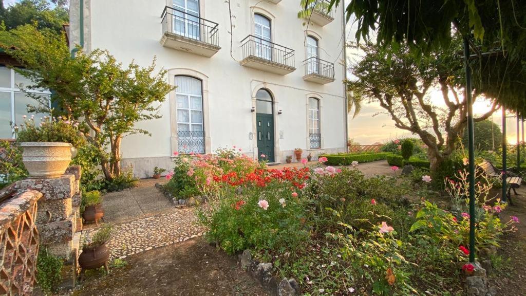 Altissima Guesthouse 佩纳科瓦 外观 照片